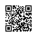 A941041824010 O-RING