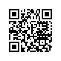 A941051225010 WASHER