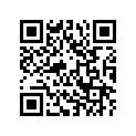 A9708060ZHAA Custom Paint Kit - Brg