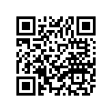 ACC-11110-41-01 BRNZEBUSH XS1-XS1B