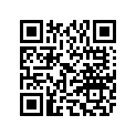 AP8106911 Mirror Rubber Rally