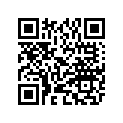 AP8109278 Tyre 110/90-13