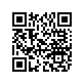 AP8147042 Tunnel Decal Protection