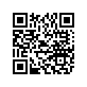 AP9100527 Flap 17