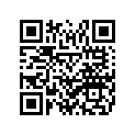 B04-F474W-00-P1 Поручень Пассажира