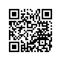 B04-XF413-20-P2 