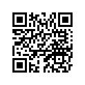 B60-28392-30-00 GRAPHIC 2