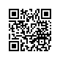 B67-21711-00-P0 Обтекатель Пластиковый
