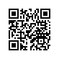 B67-28397-00-00 Пластина Металлическая