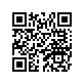 B90-82116-00-00 WIRE, MINUS LEAD