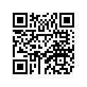 BD3-F4560-00-00 Фильтр Топливный