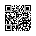 BG1-WH250-00-C0 MAIN SW. IMMOBILIZ