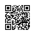 BG4-F15F9-21-00 GRAPHIC 3