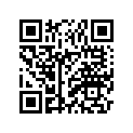 BX4-2832D-00-00 . . GRAPHIC 17