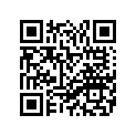 F2P-U417D-20-00 Graphic 3 (Lh) DELUXE GRAY