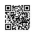 FA495397 DECAL, PORT 