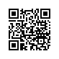 FA583397 DECAL, PORT