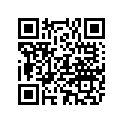 FA589397 NLA - 12-FA589397 - DECAL-PORT