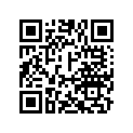 H13331357000 Clavette       *key