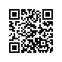 H16598ZE1000 Support        *stay
