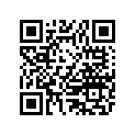 HKF0-91305-003 O-RING 27X2
