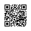 HZY6-16723-003 RING