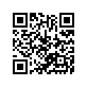 K1205-30011 Guide-chain, 13t