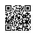 K1308-81075 Plate-friction, T=2.8