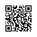 K9204-81113 Race