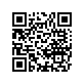 K9207-21195 Band, L=202