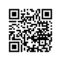 K9211-11056-000 Ключи