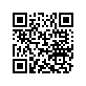 M539753 Support        *support