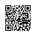 QA3814R BLKDI 9 7/8R13