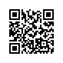 S64060000600000 Shim 6x17x0,2