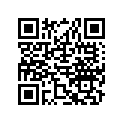 S87502RCA000 Warning Decal B