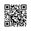 T1131042 Shim,2.5mm, Dia 9.5