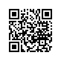 T1131047 Shim, 2.625mm, 9.5