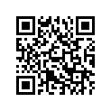 T1131048 Shim,2.65mm, 9.5