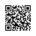 T1131060 Shim,2.95mm, Dia 9.5