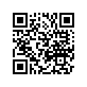 T1131064 Shim, 3.05mm, Dia 9.5