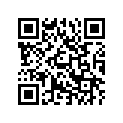 T1131066 Shim, 3.10mm, Dia 9.5