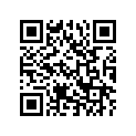 T2040519 Bolt, H/hd, M10x1.25, Slv