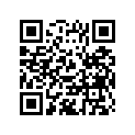 T2040975 Weight, H/bar