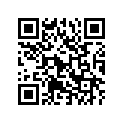 T2070304 Spacer, Eng Mnt 11id 30od 73ln