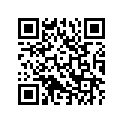 T2080680 Bank Angle Peg
