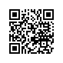 T3700212 Band, Rubber