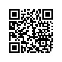 WP36120525 Bottom