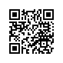 YF0-48145-06-00 O-RING