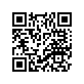 YF1-68512-19-03 PISTION 0.25
