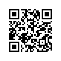YG4-11000-32-0G 